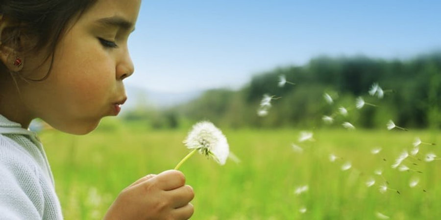 Allergy Testing | atlantichealth